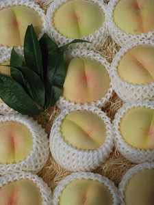 岡山の白桃代表！清水白桃です。白桃と呼ぶにふさわしい、真っ白な外見が特徴です。
上品な味わいで、贈り物に最適！