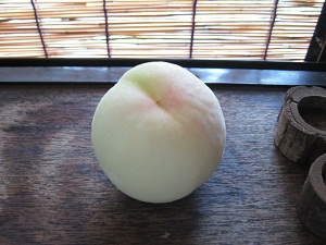 新品種のおかやま夢白桃です。濃厚な甘さの、果肉が締まった美味しい桃です。